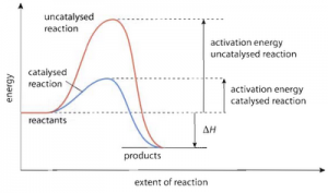 Energy level diagram reaction rates