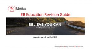 How to work with DNA revision powerpoint for GCSE