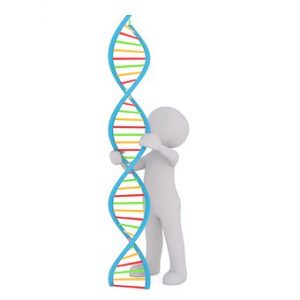 Cartoon man holding a DNA model