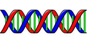 Cartoon DNA